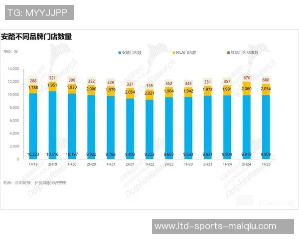 探索全球知名体育运动装品牌及其独特魅力与市场影响力分析